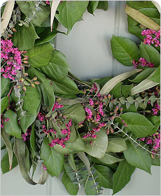 Garden Design Portfolio