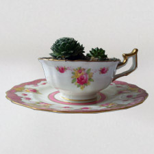 cup