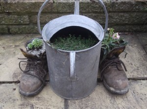 Planted up old work boots & vintage watering can